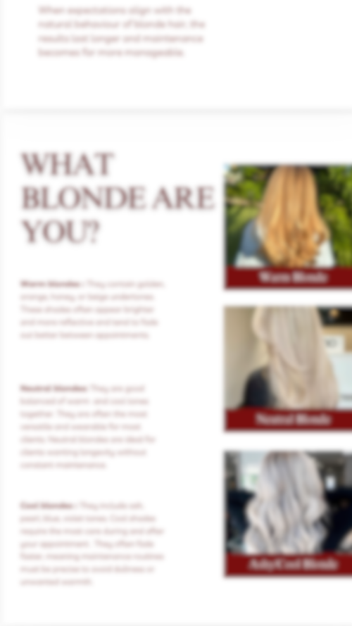 The Blonde Maintenance Guide